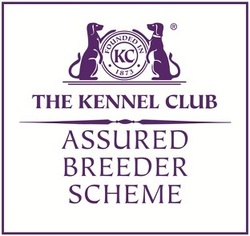 kennel club breeders